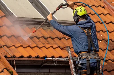 Démoussage et hydrofuge de toiture à Daux